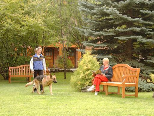 Apart Hotel La Bora Сан-Мартін-де-лос-Андес Екстер'єр фото