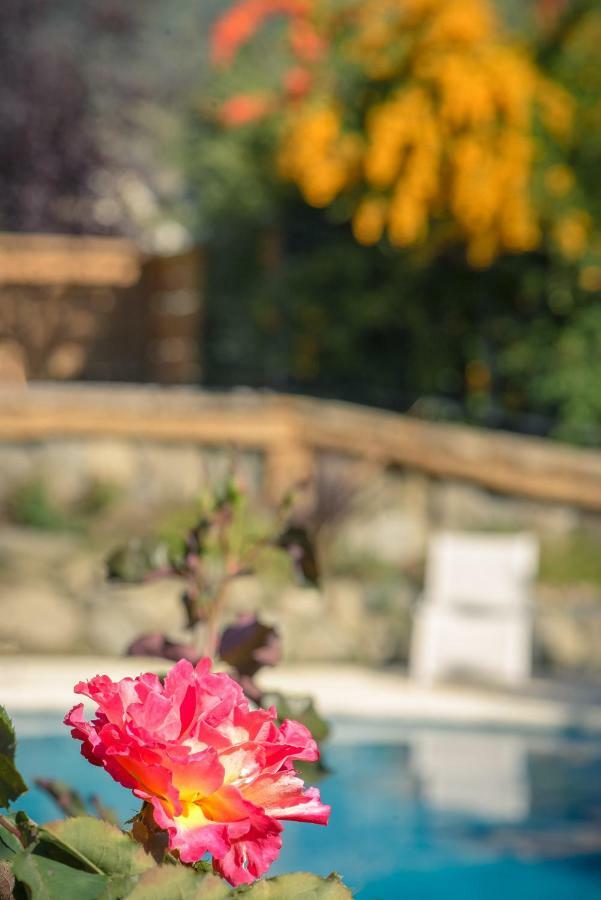 Apart Hotel La Bora Сан-Мартін-де-лос-Андес Екстер'єр фото